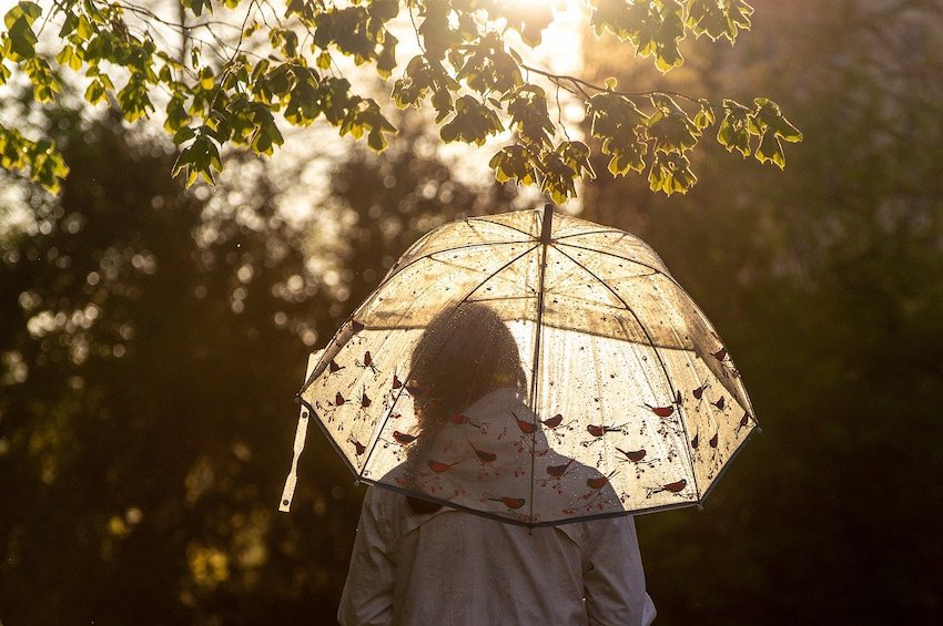 umbrella weave