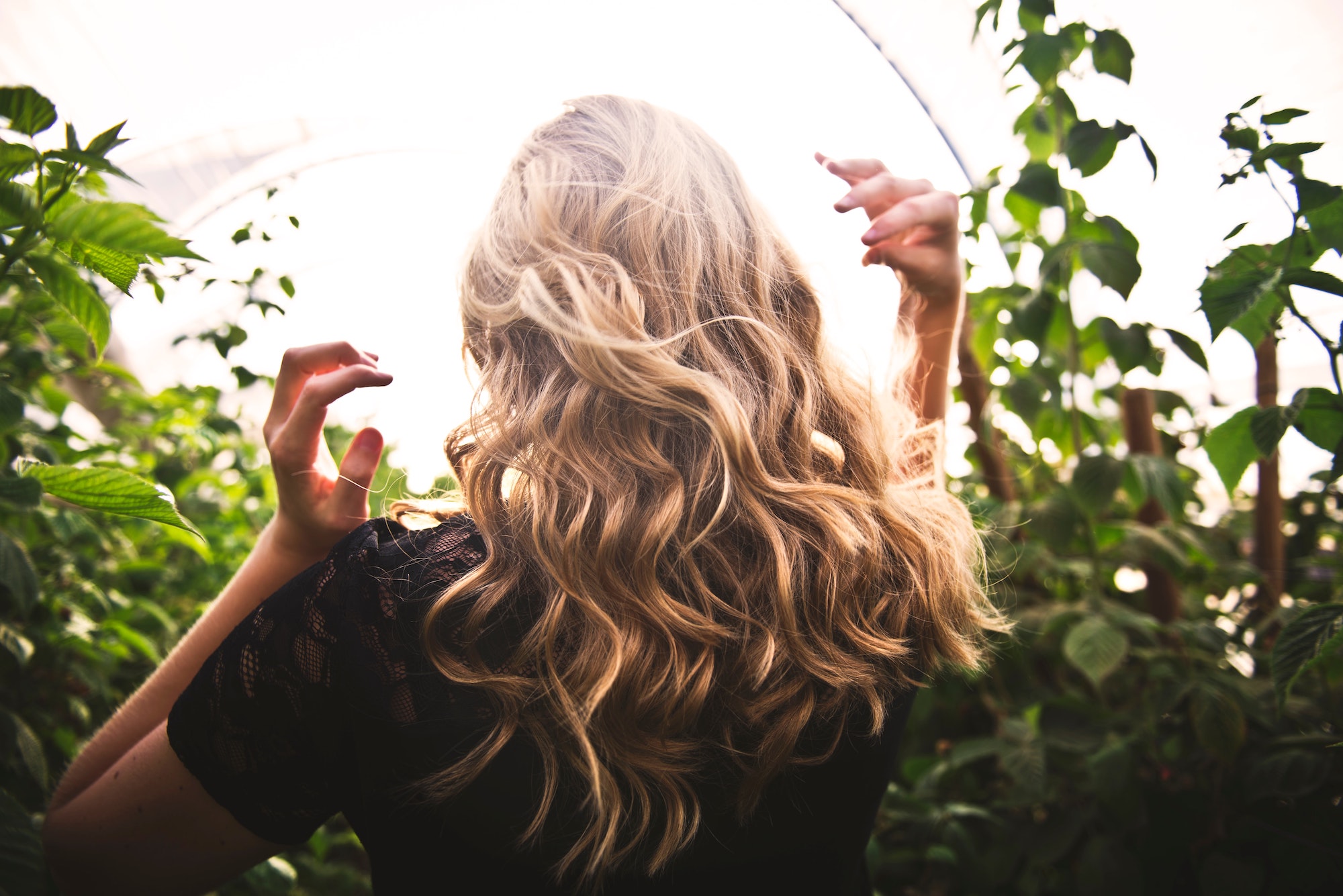 hair in sun