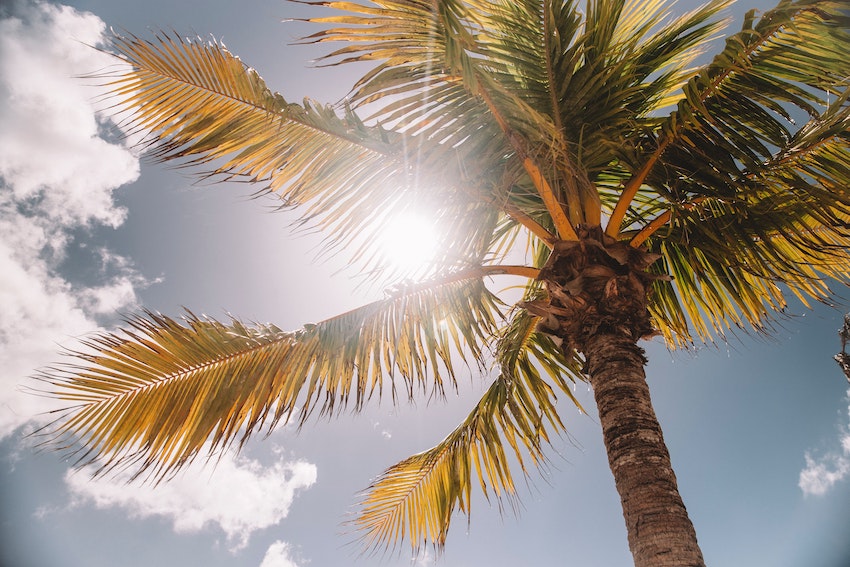 Best Sun Protection for Hair: Strategies for Protecting Your Hair from the Sun 6 sun rays