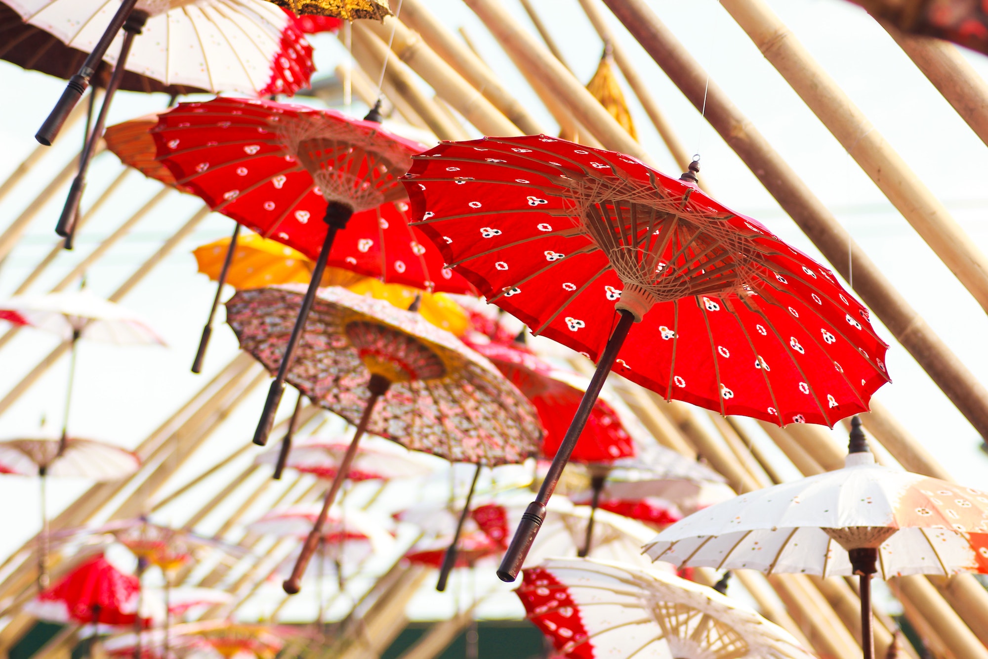 sun-parasol